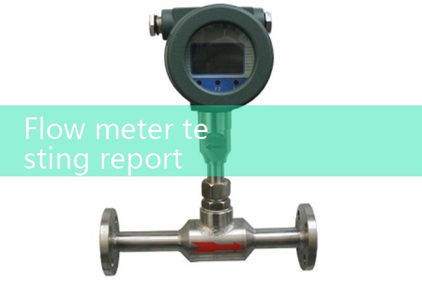 Flow meter testing report
